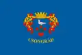 Vlag van Csongrád