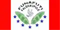 Vlag van Funafuti(Tuvalu)