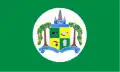 Vlag van Georgetown(Guyana)