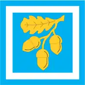 Vlag van de gemeente Koonga