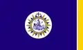 Vlag van Nashville(Tennessee)