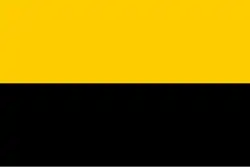 Vlag van de gemeente Tiel