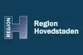 Vlag van Hovedstaden