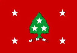 Vlag van de Gouverneur