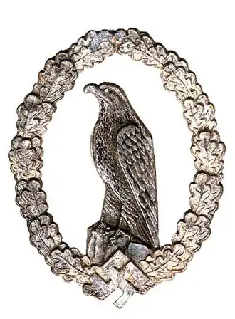 Het Flieger-Erinnerungsabzeichen.