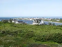 Zicht op Flower's Cove (2012)