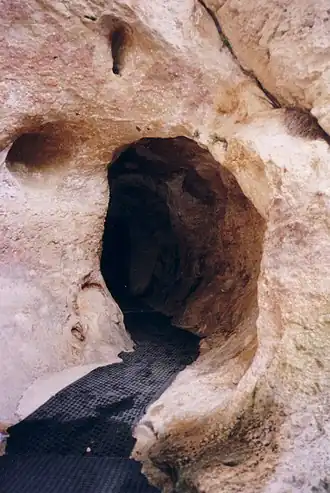 ingang van de Grotte de Font-de-Gaume