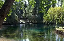 De Fonti del Clitunno