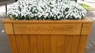 Gestileerd Maasstraat (april 2018)