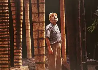 Frans Krajcberg (1985)