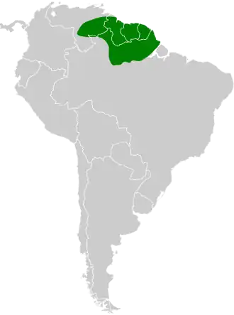 Zwartkeelmierklauwier