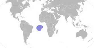 Ascensionfregatvogel