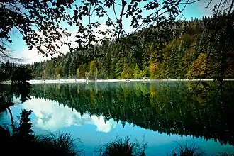 Frillensee