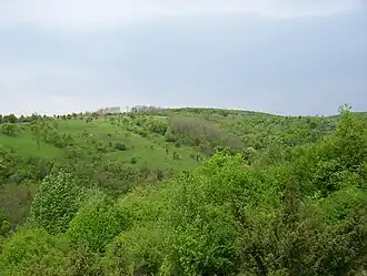 Fruška gora