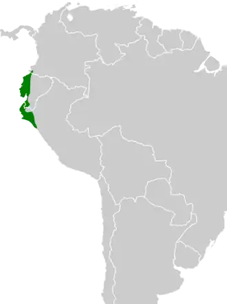 Pacifische ovenvogel