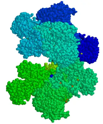 Glucose-6-fosfaat dehydrogenase