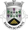 Vlag van Baguim do Monte