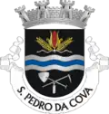 Vlag van São Pedro da Cova
