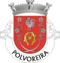 Vlag van Polvoreira