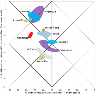 civetkatachtigen Arctictis, Paguma, Crossarchus, Suricata, Atilax, Ichneumia, Nandinia, Herpestes, wasbeerhond Nyctereutes, hondachtigen Lycaon, Urocyon, gordeldier boven Dasypus, gordeldier beneden Priodontes, egel Hemiechinus, tenrek Echinops, kinkajoe Potos