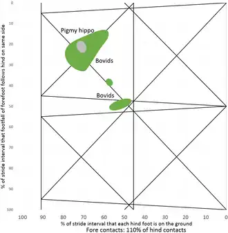 dwergnijlpaard Choeropsis, holhoornigen Tragelaphus, Bison, Hippotragus, Syncerus, Ovibos, Bos