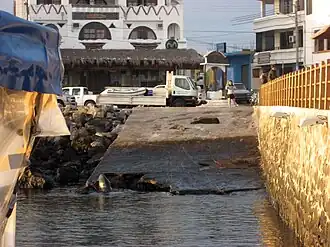 Het centrum van Puerto Francisco de Orellana