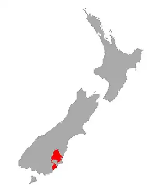 Galaxias depressiceps