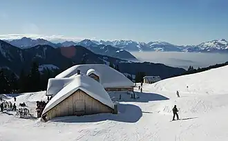 Gapfohlalpe met Alvier-groep