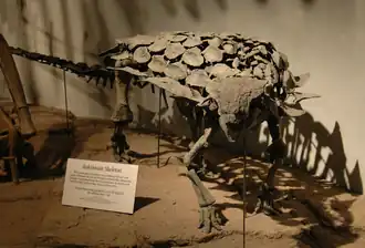 Skelet van Gargoyleosaurus