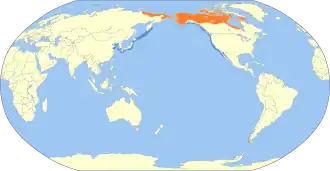 Pacifische parelduiker