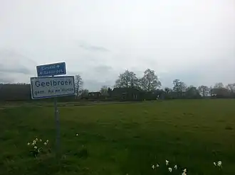 Geelbroek