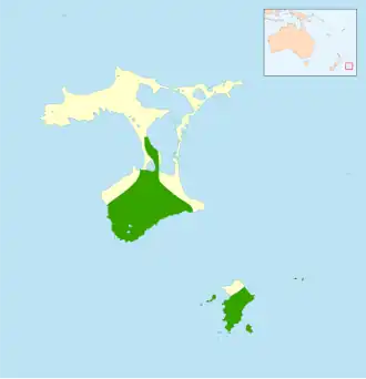 Chathammangrovezanger