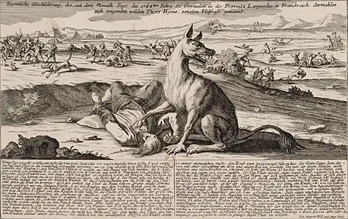 Het Beest van Gévaudan(1762-1764), gravure, BnF