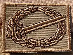 Gevechtsinsigne patch