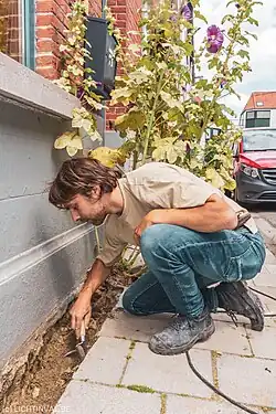 Foto geveltuinbrigade