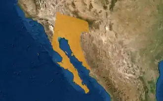 Californische grondspecht