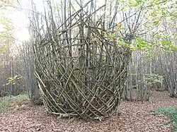 Imprints van Giuliano Mauri