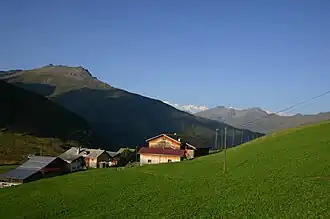 Alpenweiden nabij de pashoogte