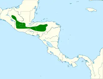 Guatemaladwerguil