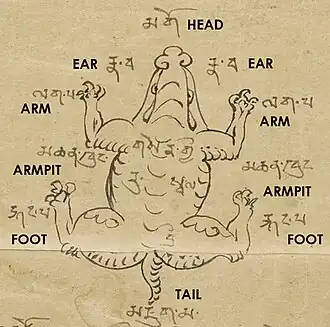 Zie uitleg hieronder.