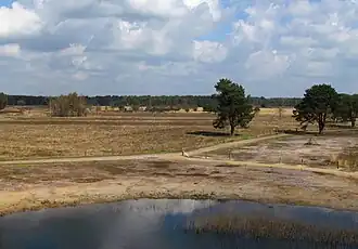 De Gorsselse Heide in 2017, kort na uitvoering van het natuurherstelplan