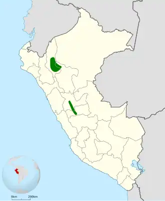 Kastanjebruine mierpitta