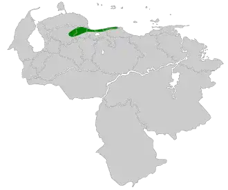 Schubborstdwergmierpitta