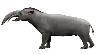 Granastrapotherium