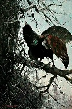 Auerhaan door Wilhelm Kuhnert, 1904