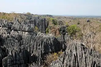 Karstlandschap in het natuurreservaat Tsingy de Bemaraha