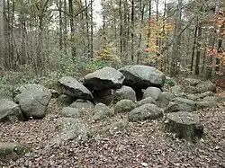 Großsteingrab in der Kunkenvenne