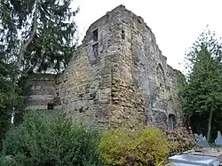 Restant kasteelruïne