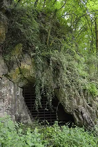 Grotten van Fonds-de-Forêt