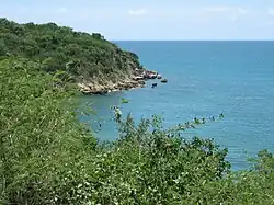 Guánica State Forest